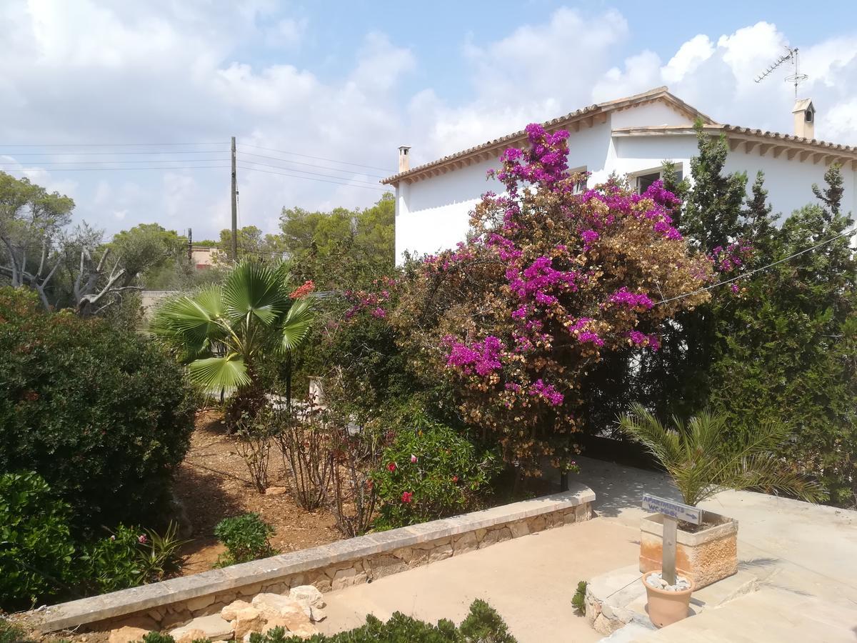 Apartamentos Villa Primera กาลาฟีเกรา ภายนอก รูปภาพ